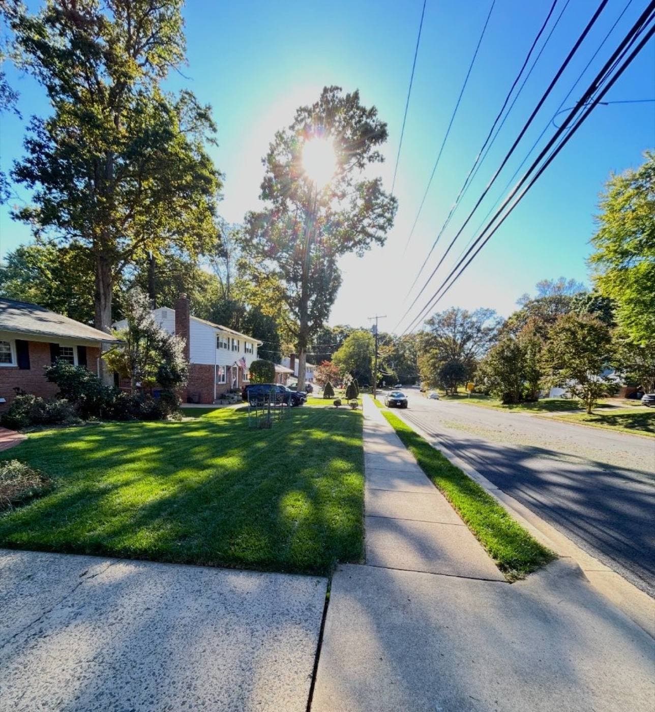 Lawn Care